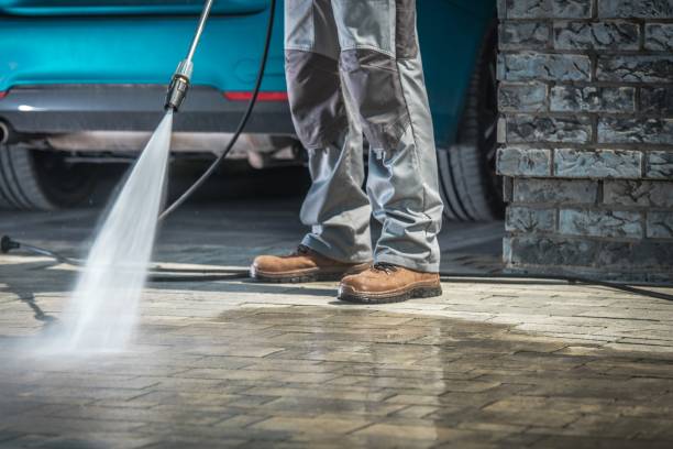 Best Dumpster Area Cleaning  in West Islip, NY